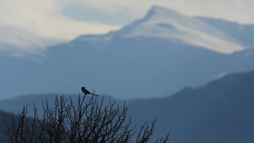León empieza la segunda semana de abril en alerta amarilla por nieve