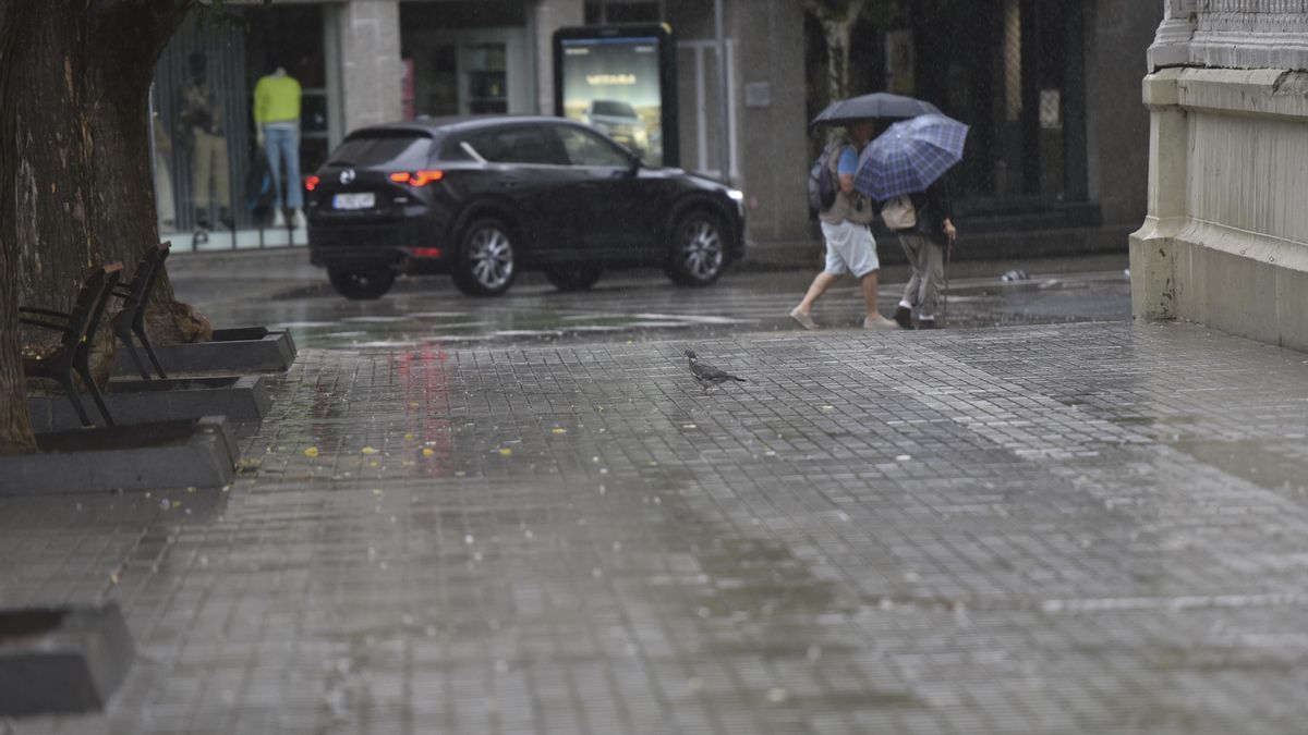 Varios reventones húmedos con vientos de hasta 149 kilómetros por hora causan daños materiales en varios puntos de València