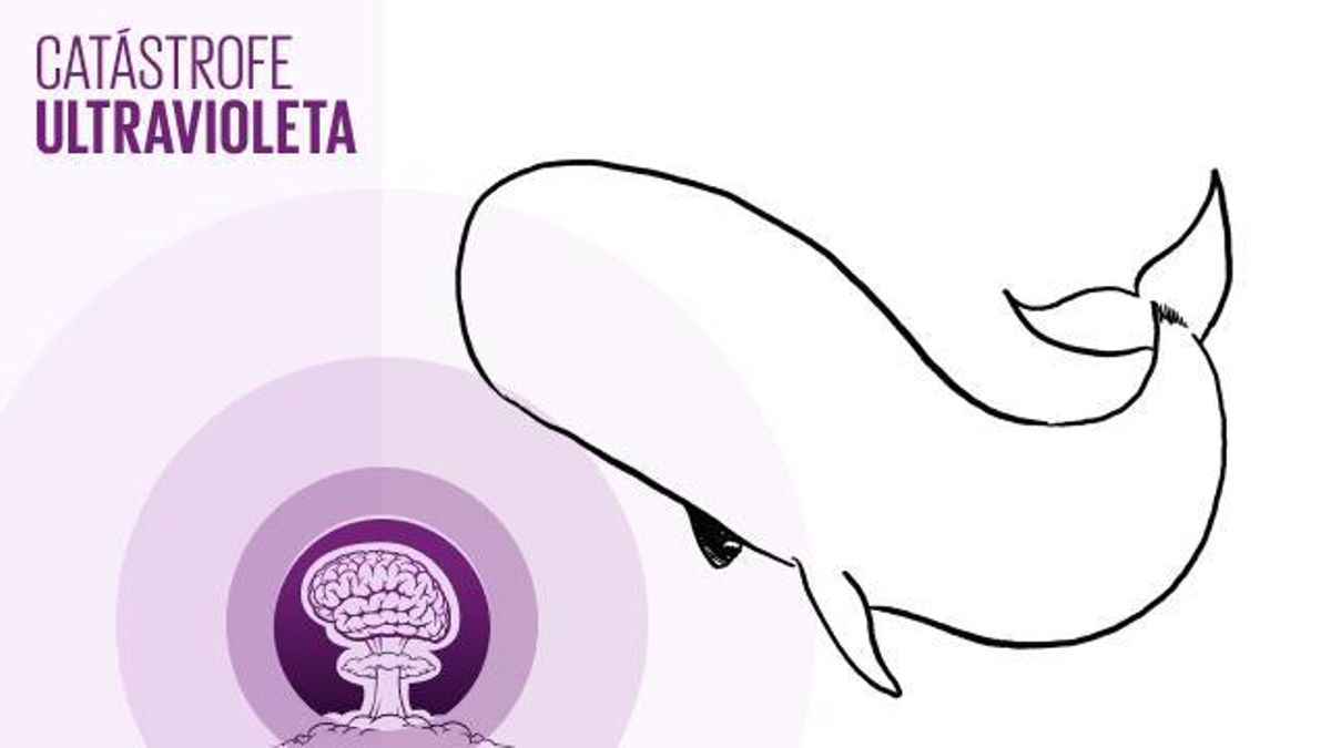 🎙 PODCAST | Leviatán: en busca de los últimos cachalotes