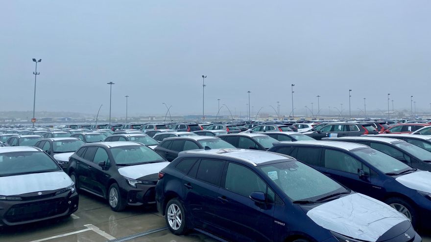 Primeros coches de la marca Suzuki que llegan al Puerto de Santander