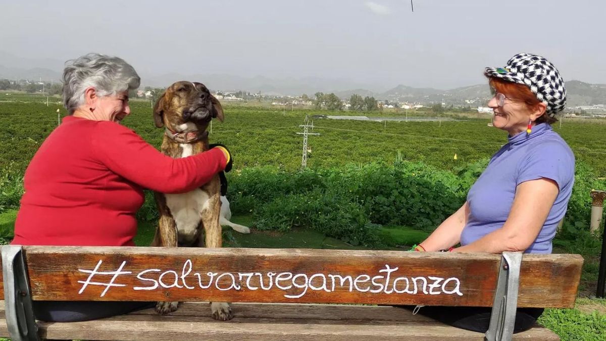 El Supremo liquida el proyecto estrella del Gobierno de Moreno para construir la depuradora malagueña de Vega Mestanza
