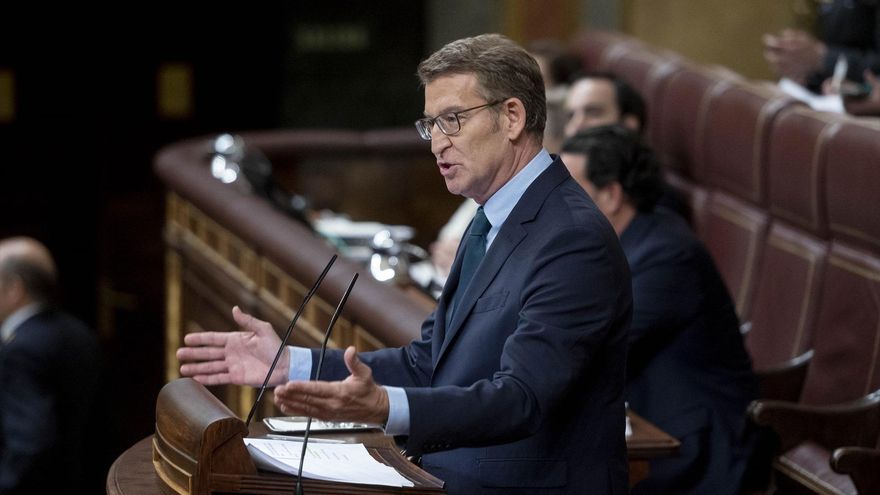 El presidente del Partido Popular, Alberto Núñez Feijóo, interviene durante una sesión plenaria, en el Congreso de los Diputados, sobre la Ley de amnistía.
