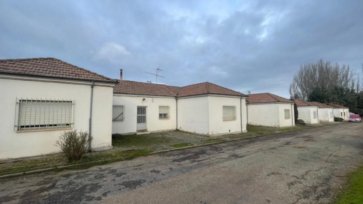 La Universidad de Salamanca cuenta con tener la Facultad de Veterinaria que compita con León en tres años