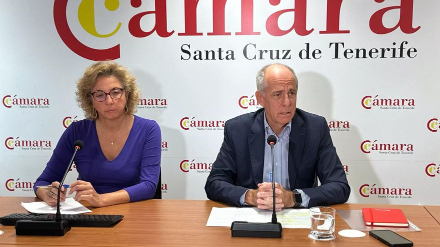La Cámara de Comercio de Tenerife pide que se excluya a Canarias de la subida de tasas aeroportuarias