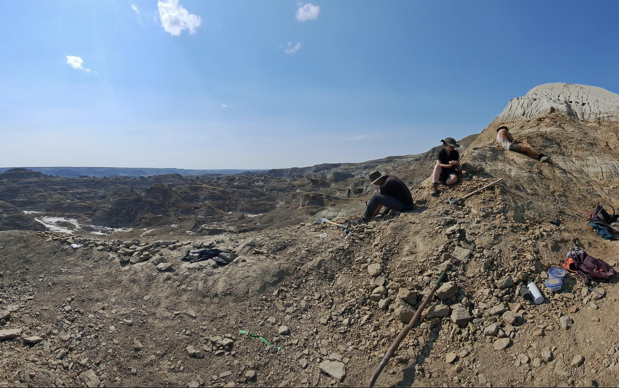 El fósil se conserva en rocas de la Formación Dinosaur Park, un yacimiento declarado Patrimonio Mundial por la UNESCO