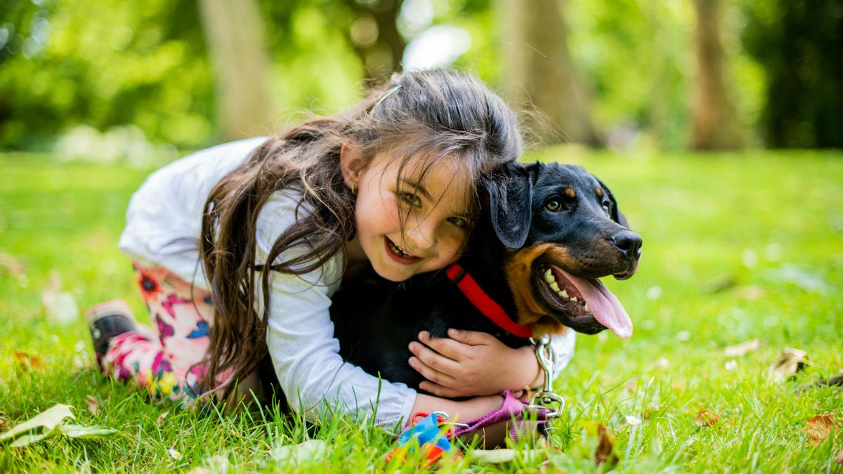 “Los mayores son los grandes olvidados”: un adiestrador explica qué valorar antes de adoptar un perro si vivimos con niños