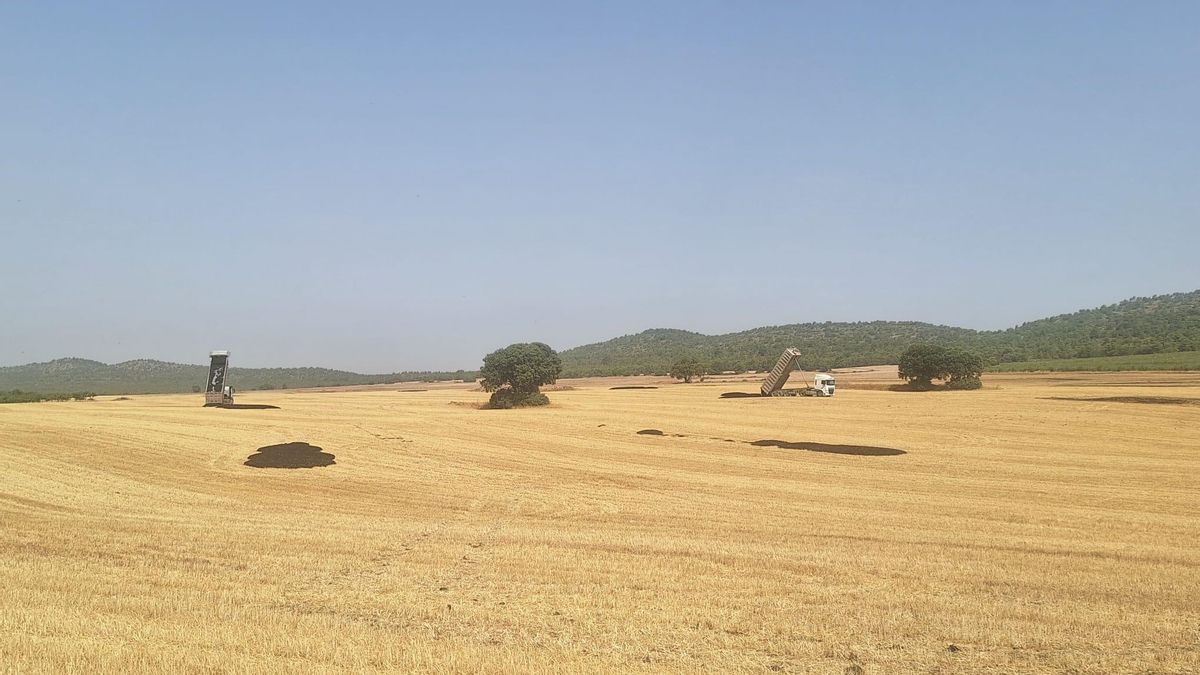 Vertido de lodos en el término municipal de Alcalá del Júcar