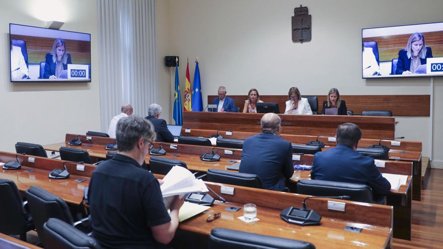 "Más inspecciones no habrían detectado una práctica ilegal en la mina de Zarréu", sostiene un experto en Seguridad Minera