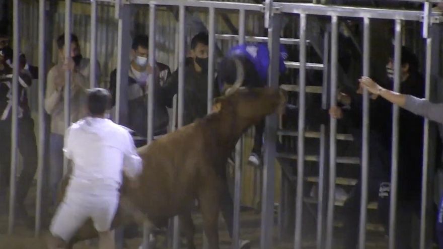 Compromís pide a Sanitat que haga test a los asistentes a los actos taurinos de Vila-real sin medidas de seguridad de la ganadería sancionada por el Consell