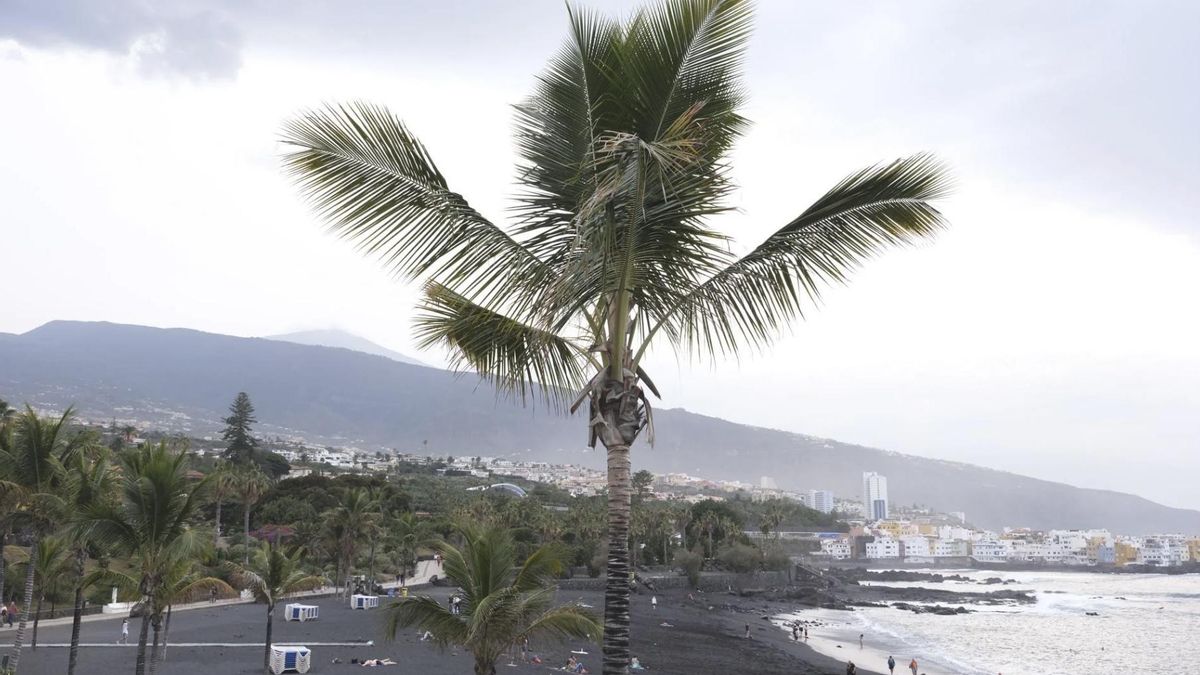 Playa Jardín reabre al baño tras el cierre por contaminación fecal