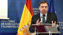 Planas pide en la UE flexibilización y garantías de recibir ayudas de la PAC