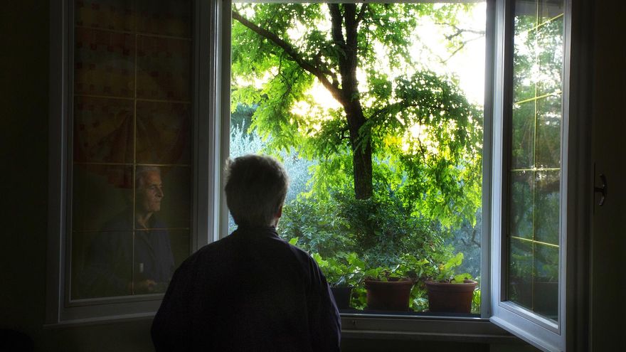 Fotografía del proyecto Radiz Azdora