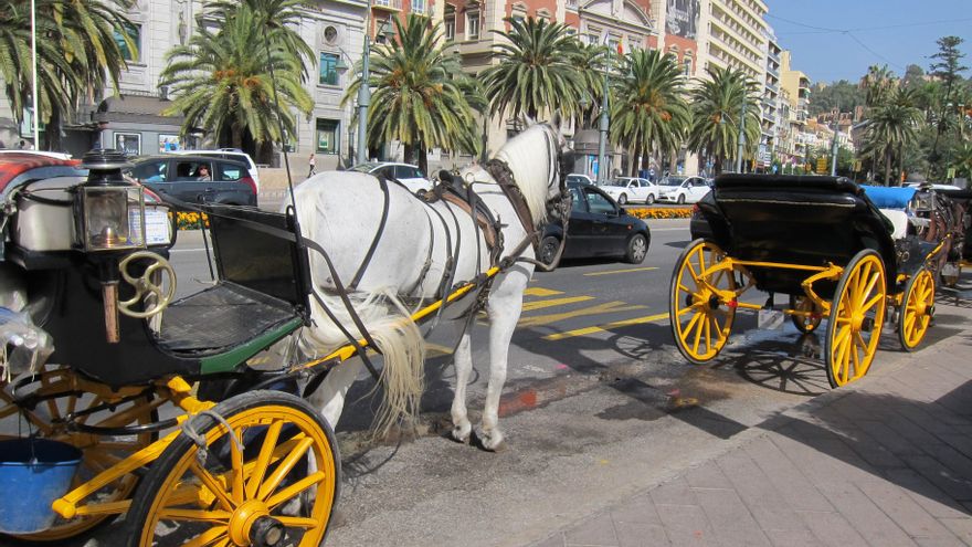 Málaga pone fecha al fin de los coches de caballos y deja a Sevilla como principal baluarte en Andalucía