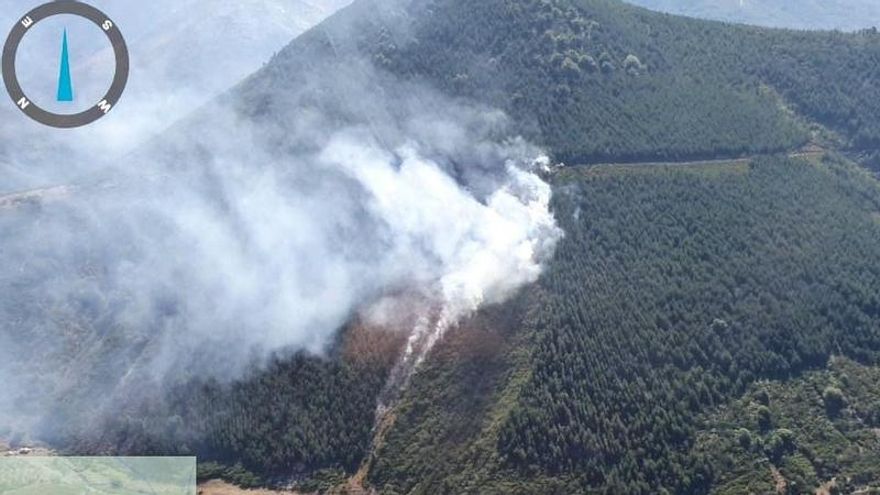 Nuevo incendio peligroso en un espacio protegido de la Montaña Oriental de León, como casi todos los veranos