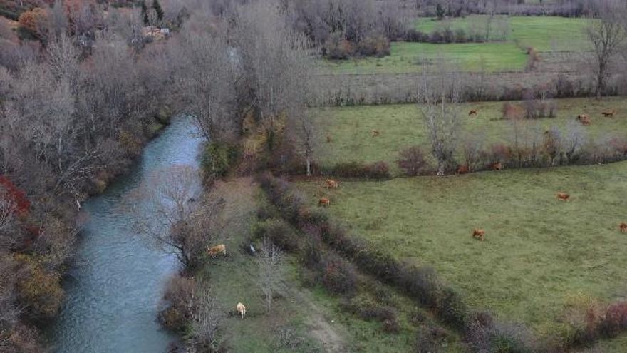 Sebes en Garrafe de Torío. // Víctor Casas