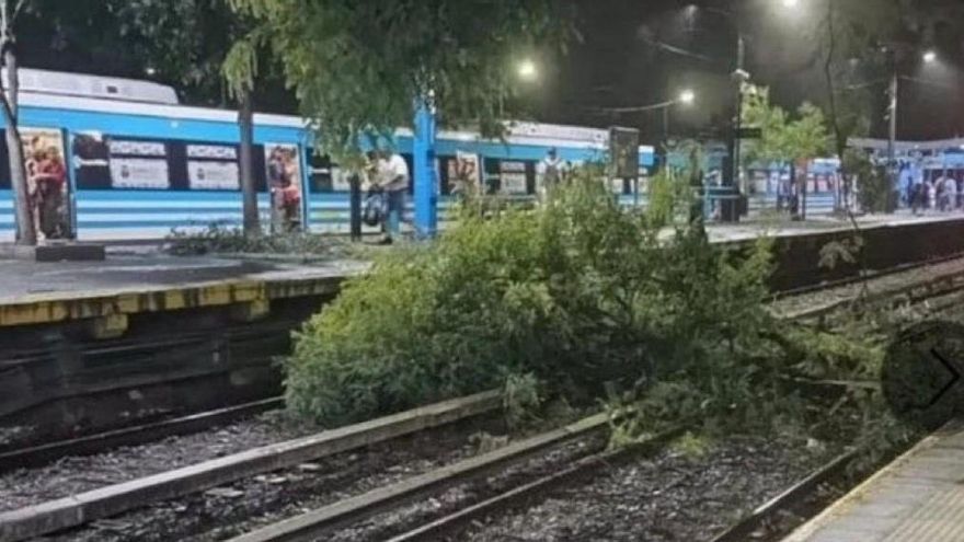 Temporal en el AMBA: usuarios sin luz, voladuras de techos, árboles caídos y trenes con demoras