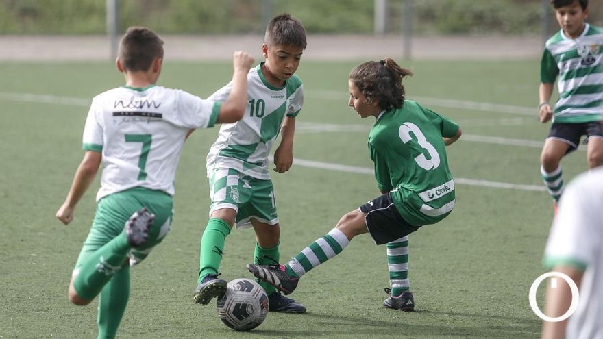 La RFAF Córdoba suspende los partidos de fútbol base por las condiciones meteorológicas