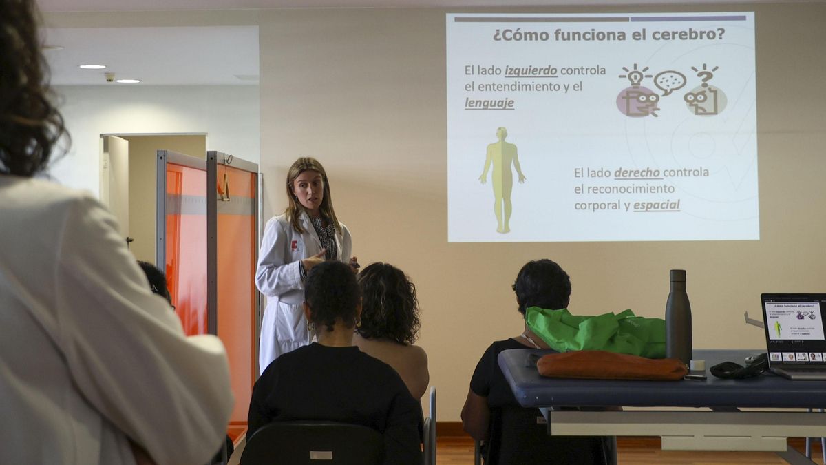 El otro lado del daño cerebral adquirido: formar y guiar a quienes cuidan