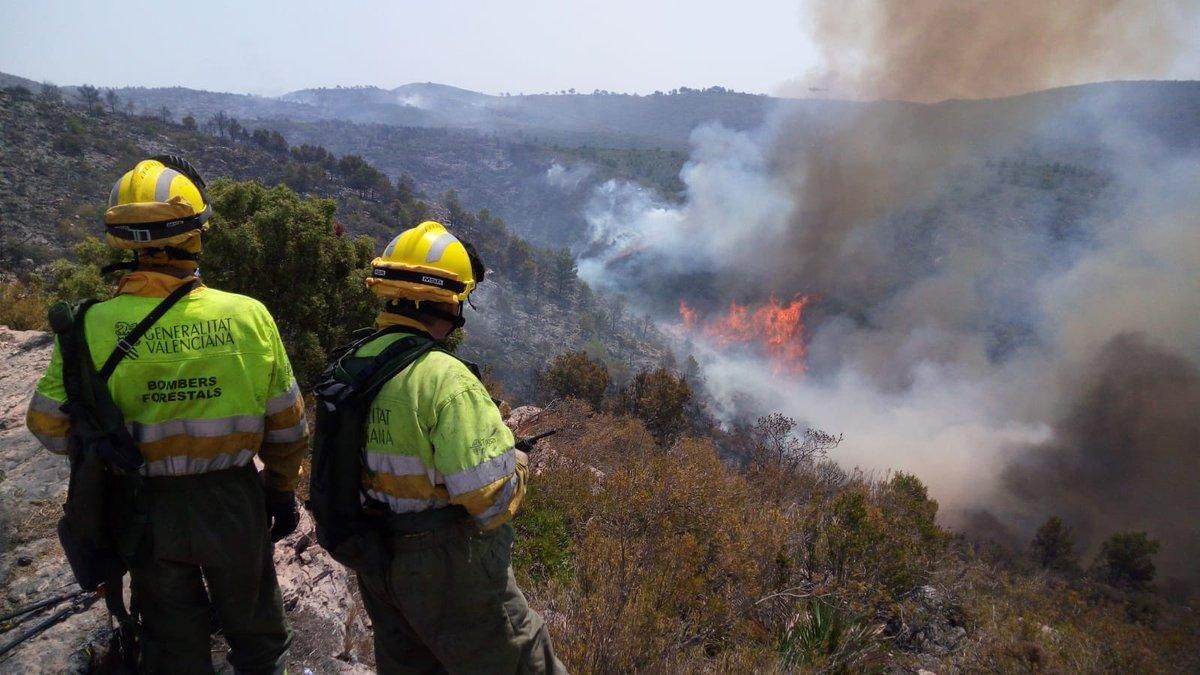 Efectivos de las brigadas forestales observan el incendio