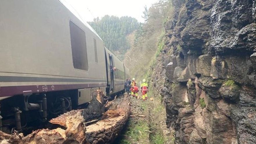 Choque del Alvia contra un árbol caído cerca de Las Fraguas.