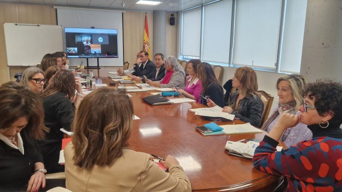 Mesa Técnica de Agresiones del Servicio Aragonés de Salud.