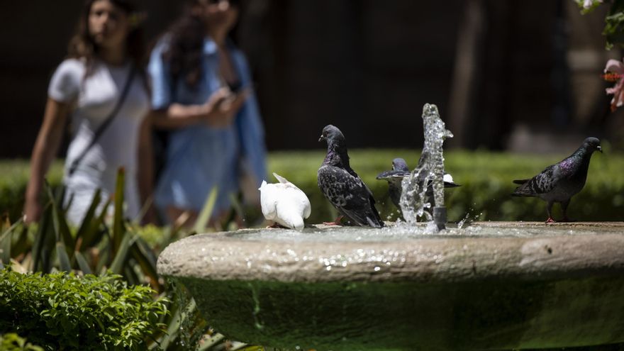 Lluvia dispersa en el extremo norte y descenso general de temperaturas este sábado