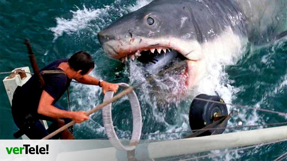 Tiburcio Raton La mítica 'Tiburón' de Spielberg y el homenaje culinario a Raphael ...