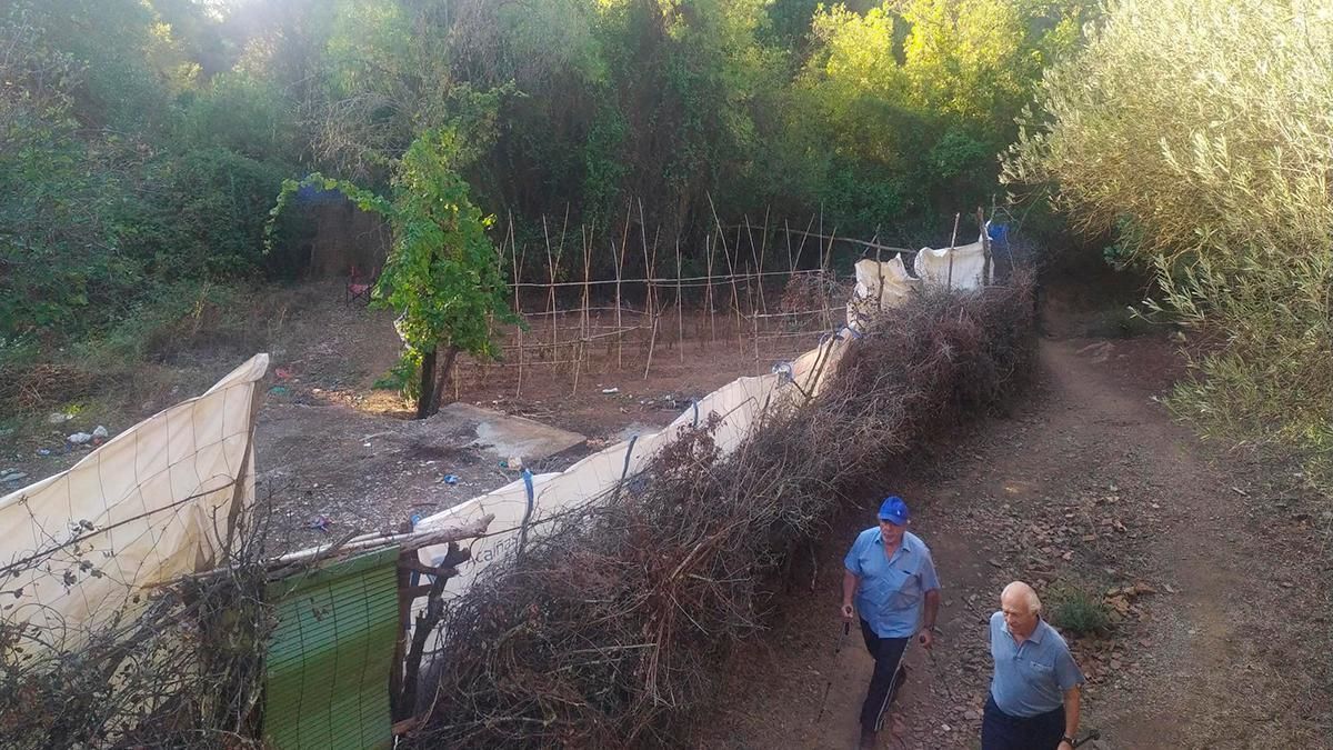 Una de las ocupaciones con huertos en el dominio público hidráulico del arroyo Pedroche.
