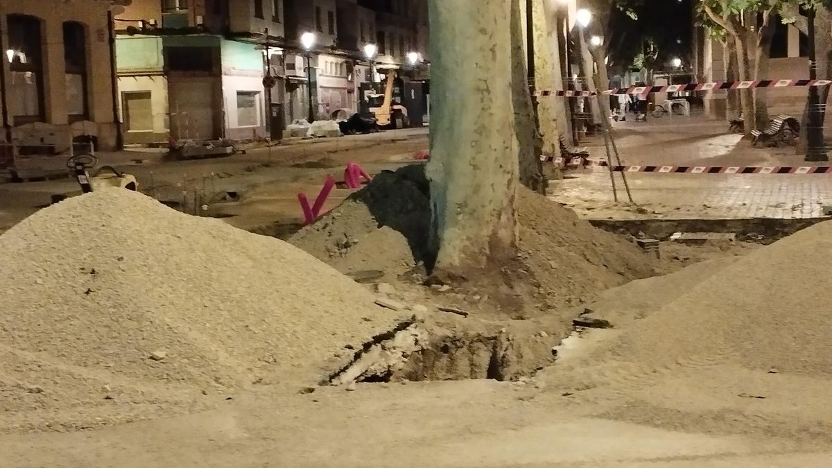 Platanero afectado por las obras de La Glorieta