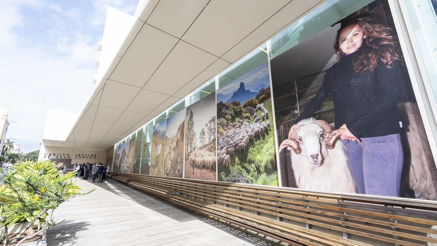 Gran Canaria está como un cencerro