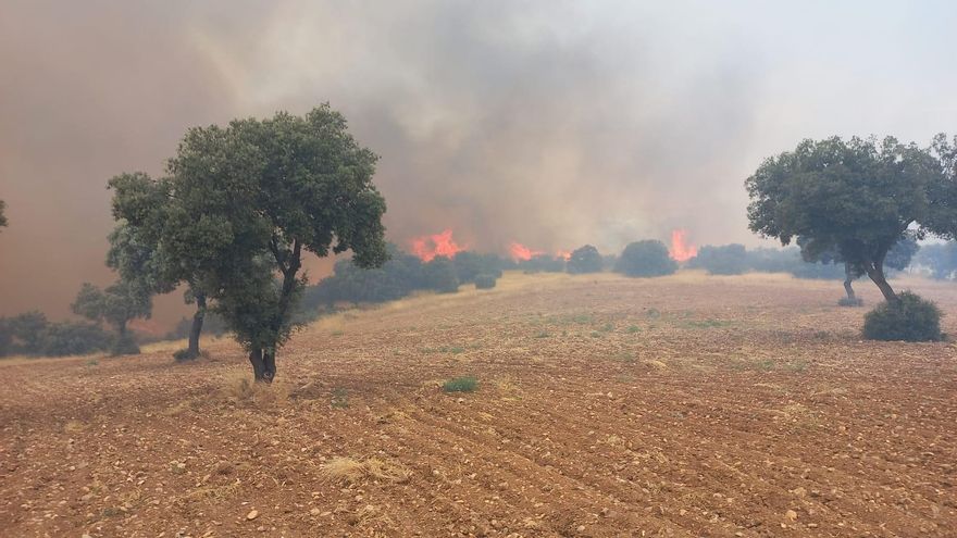 Incendio en las inmediaciones del parque Puy du Fou de Toledo