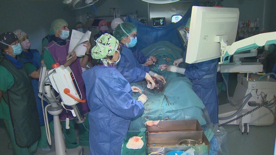 El Hospital Miguel Servet de Zaragoza realiza el primer trasplante de prótesis endovascular supraaórtica en España