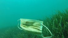 Una mascarilla desechable en el fondo del océano