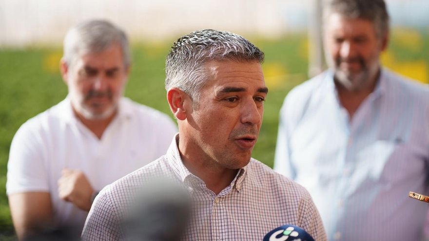 El Gobierno canario reitera que no hay escasez de papas, pero sí preocupa la producción local por la falta de semillas