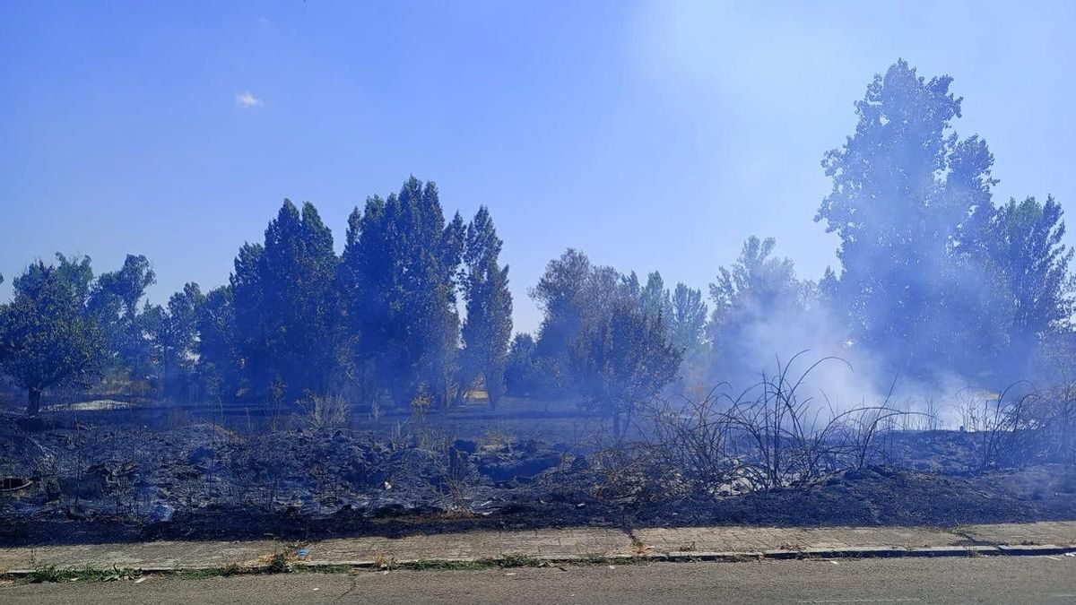 Bomberos sofocan un incendio en un solar privado en San Andrés, que llama a los propietarios a limpiar sus fincas