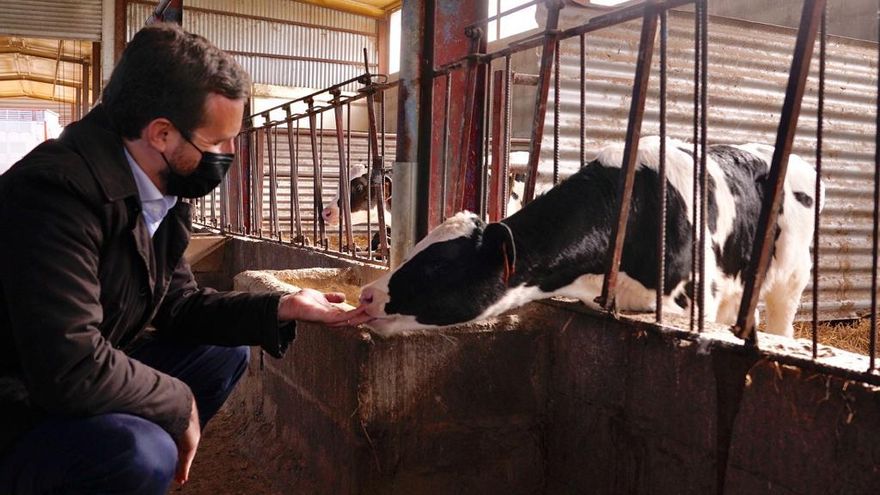 El mantra de ETA: el viejo recurso del PP contra la izquierda que Casado recupera nueve años después del fin de la violencia