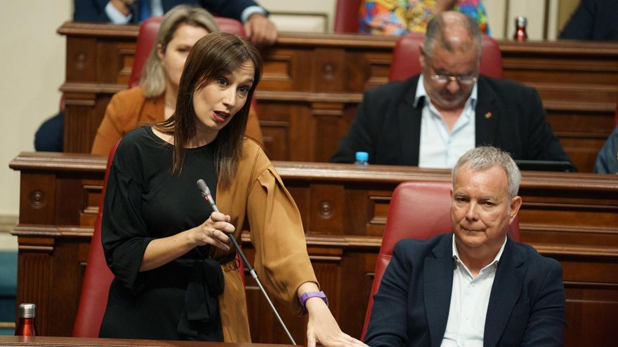 El PSOE reclama al Gobierno canario una "tasa medioambiental" y que se suban los salarios