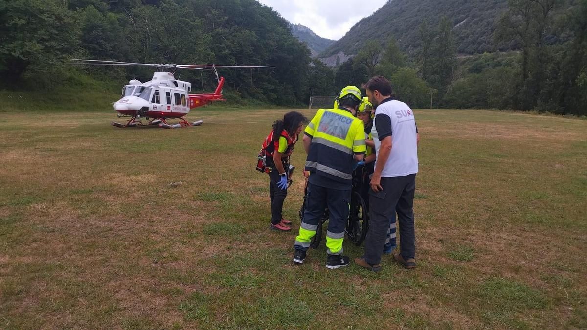 Trasladado un joven a Valdecilla por la mordedura de una víbora en un campamento cerca de Puentenansa