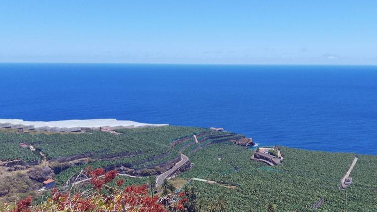Un aeropuerto en Puntallana. Martín Luis