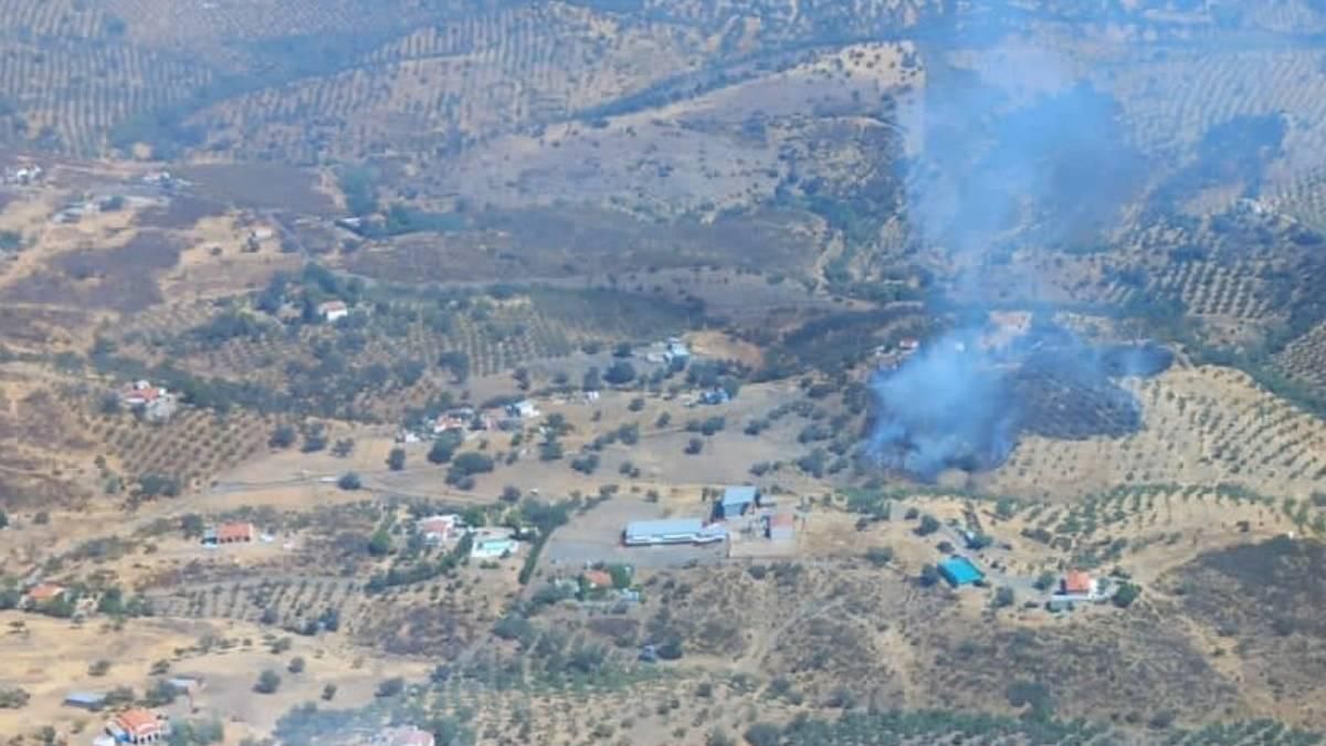 El Infoca trabaja en la extinción de un incendio forestal en Pozoblanco
