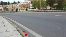 Brotes de primavera en Toledo