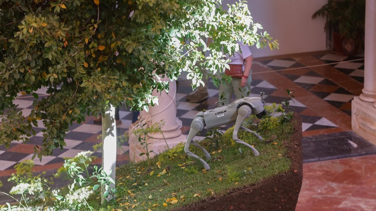 FLORA 2026 - FLOVER NYC (Diputación de Córdoba)