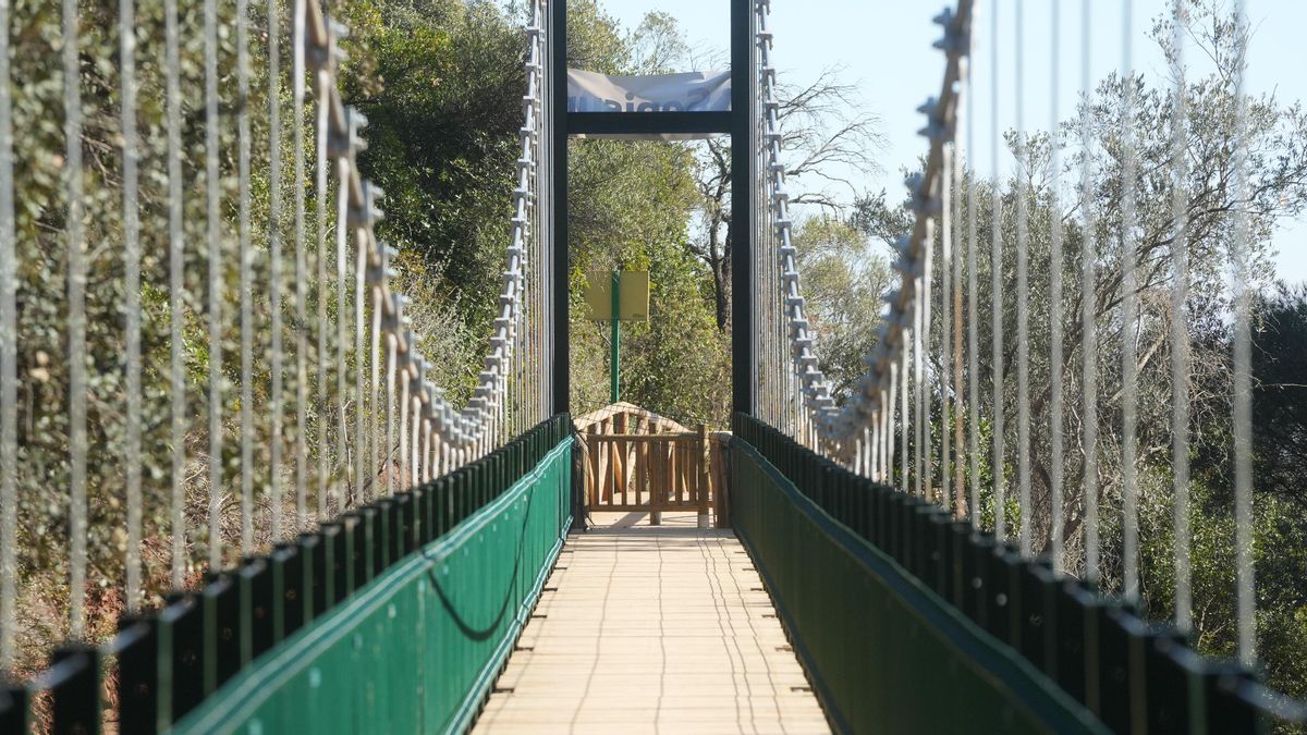 Puente colgante del Cinturón Verde