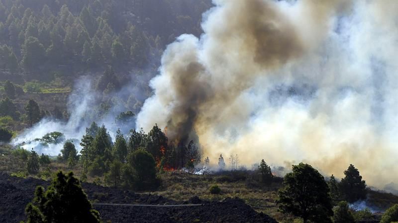 Las llamas del incendio forestal que desde el miércoles afecta a La Palma afectan a una zona de Tachando