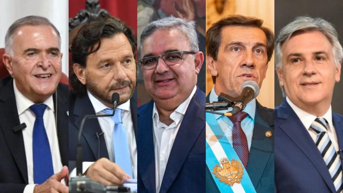 Crisis fiscal y alianzas estratégicas: gobernadores dialoguistas entre el ajuste y el apoyo a Javier Milei