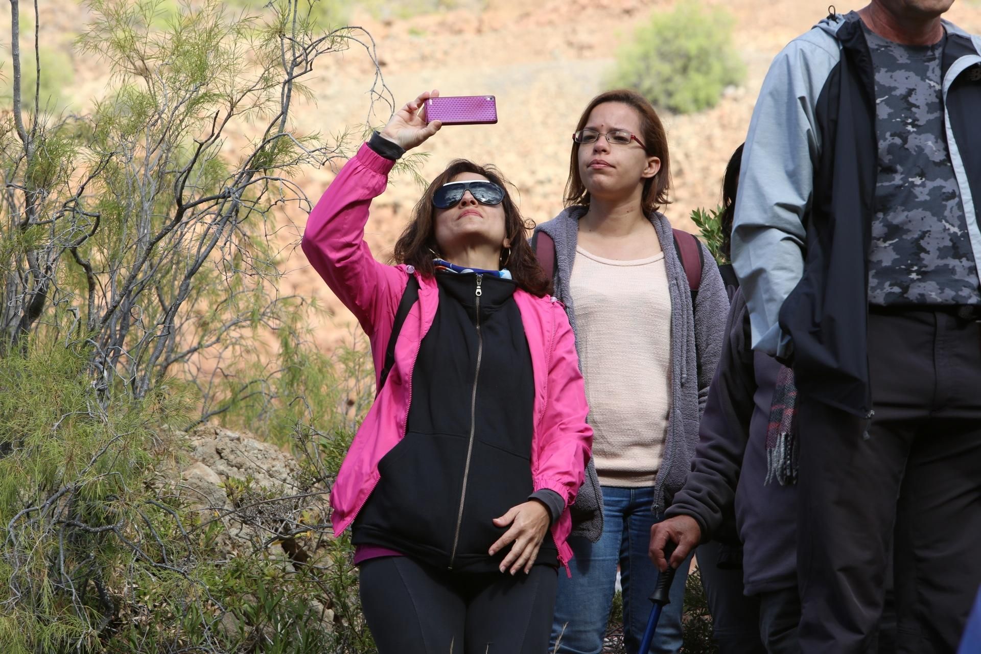 La primavera lleva a Arteara. (Alejandro Ramos).