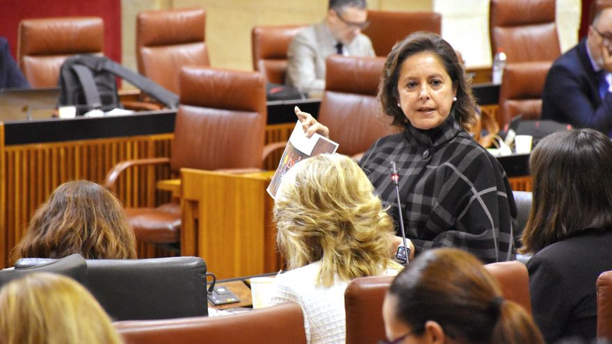 La parálisis del servicio jurídico sanitario de Andalucía deja en el aire 800 millones reservados a contratos con la privada