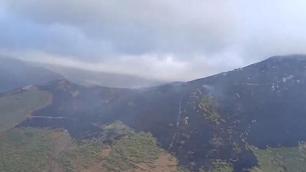 Desciende a nivel 0 de gravedad y se da ya por controlado el incendio forestal de Pendilla de Arbas