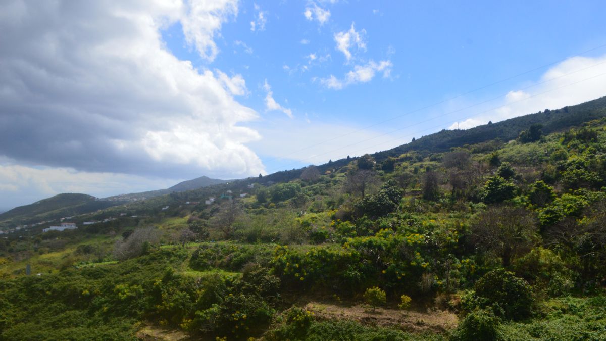 Tiempos nuevos/tiempos salvajes