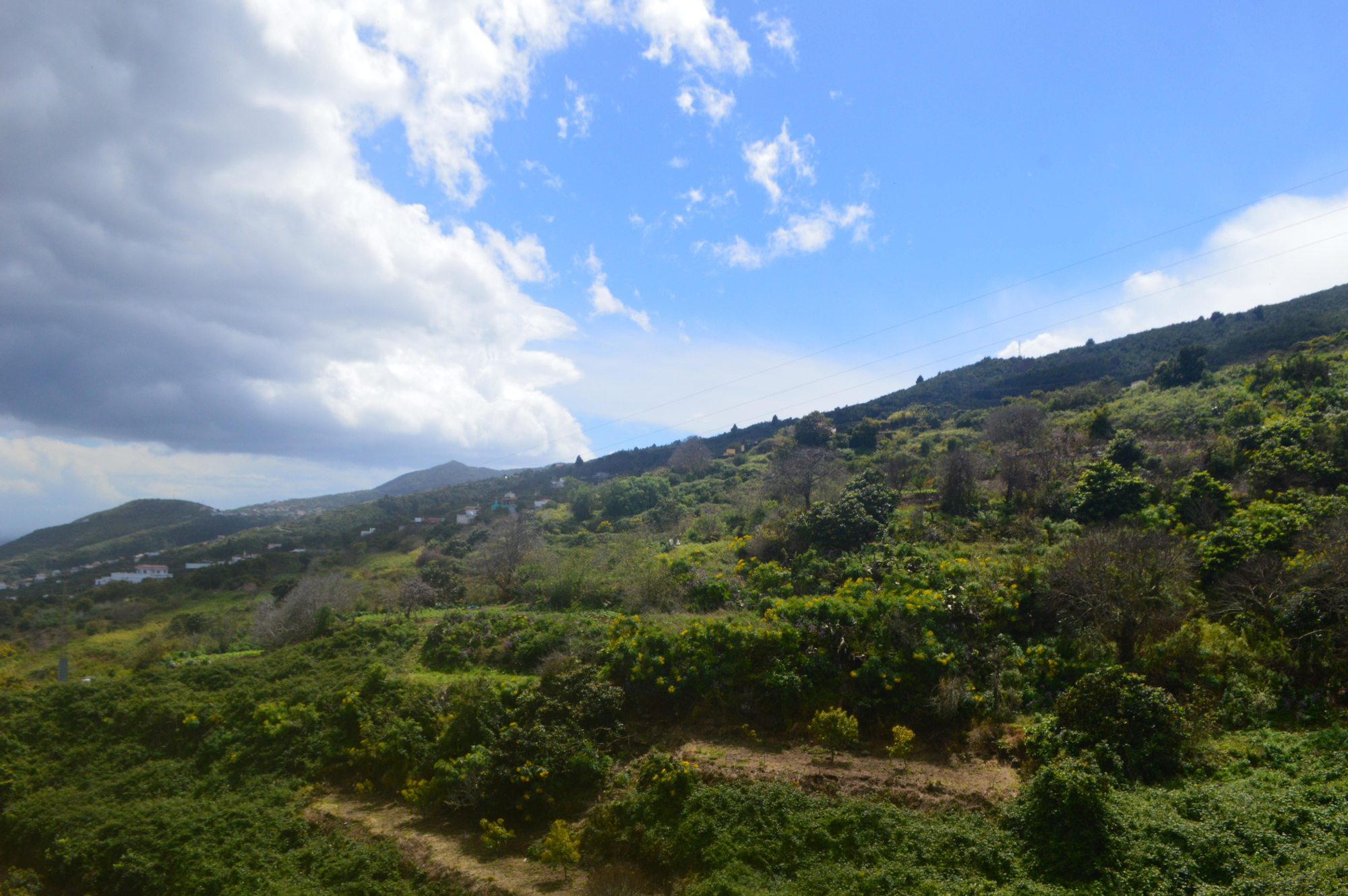 La Galga y Los Galguitos desde Las Lomadas. Óscar Lorenzo 2026).